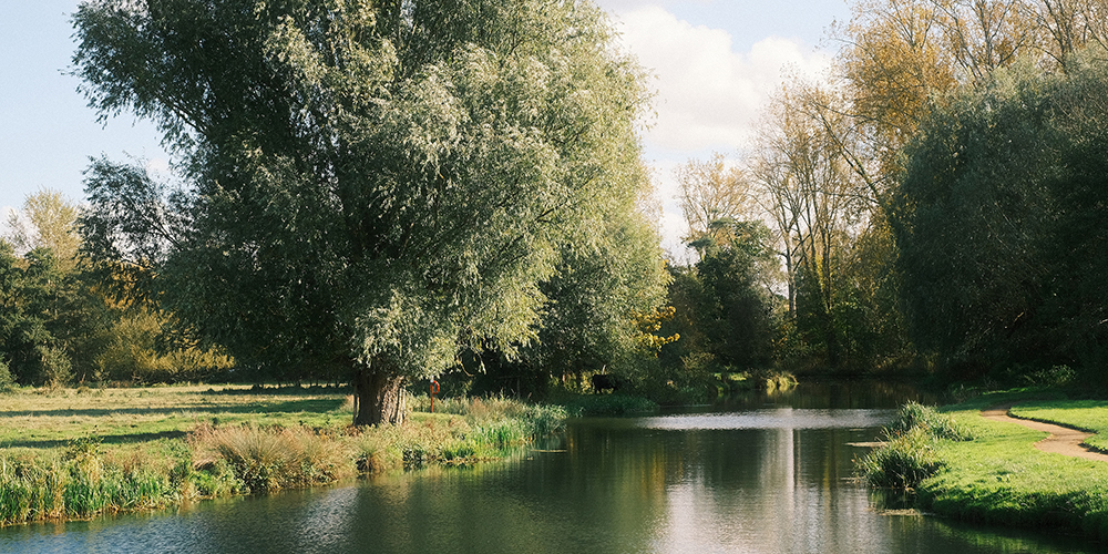 Spectacular Autumnal views found in the Broads